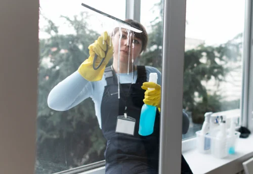 Nettoyage de vitres intérieures et extérieures à Vaumort
